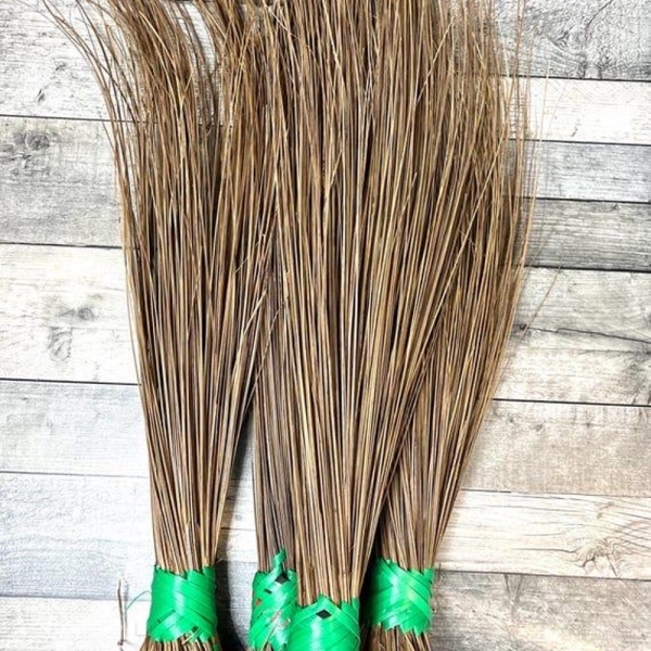 African broom/ native broom