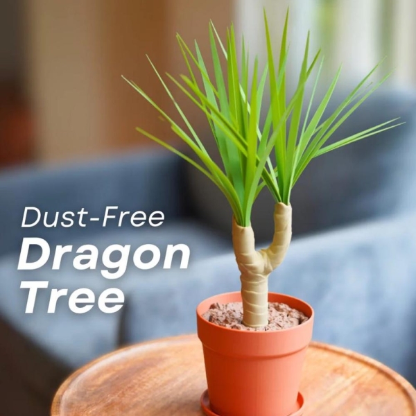 Dust-Free Dragon Tree – 3D Printed Desk Brush, Dustpan & Trash Can | Cute Plant Cleaning Tool | Forgecore Design